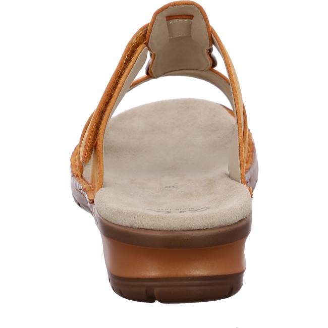 Dámské Boty Mules Ara Hawaii Ochre Hnědé | ARA978YBA